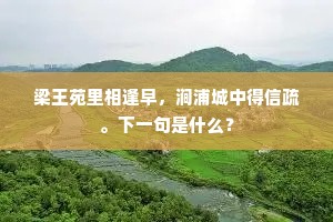 别梦思何极，长川逝莫留。的意思及出处