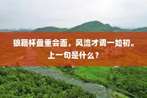 盖棺俄隔世，空遣泪横流。的解释
