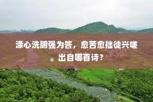 同作燕京客，君为楚上行。全诗是什么？