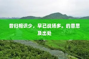 还椟已完和氏璧，饰钗那用汉宫金。全诗是什么？