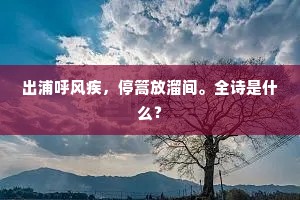 醒来送归雁，一寄千里目。的意思及出处