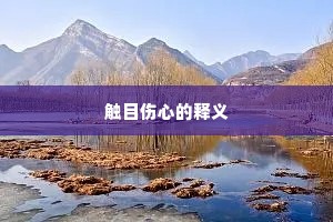 触目伤心的释义