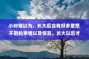 小时候以为，长大后会有好多意想不到的事情以及惊喜。长大以后才明白，生活不仅没有惊喜，还处处让你难过。