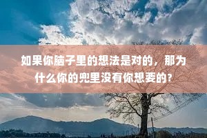 如果你脑子里的想法是对的，那为什么你的兜里没有你想要的?