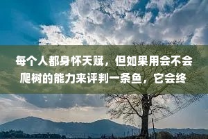 每个人都身怀天赋，但如果用会不会爬树的能力来评判一条鱼，它会终其一生以为是自己愚蠢。
