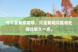 并不是我很聪明，只是我和问题相处得比较久一点。