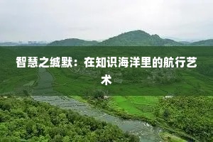 智慧之缄默：在知识海洋里的航行艺术