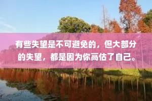 有些失望是不可避免的，但大部分的失望，都是因为你高估了自己。