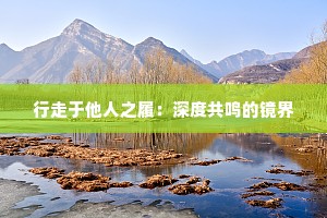 行走于他人之履：深度共鸣的镜界