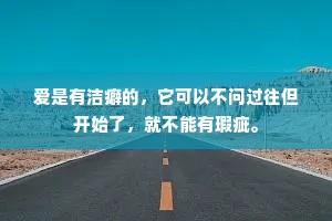 爱是有洁癖的，它可以不问过往但开始了，就不能有瑕疵。