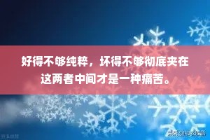 好得不够纯粹，坏得不够彻底夹在这两者中间才是一种痛苦。