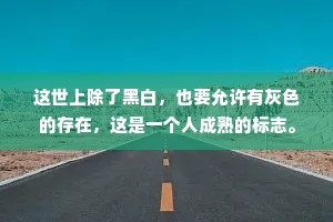 这世上除了黑白，也要允许有灰色的存在，这是一个人成熟的标志。