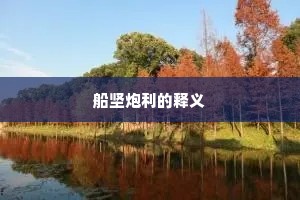 船坚炮利的释义
