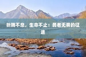 折腾不息，生命不止：勇者无畏的征途
