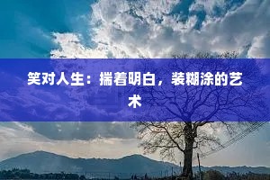 笑对人生：揣着明白，装糊涂的艺术