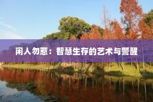 闲人勿惹：智慧生存的艺术与警醒