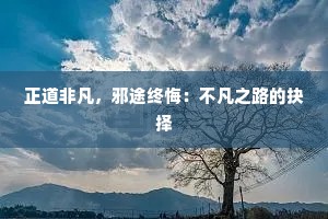 正道非凡，邪途终悔：不凡之路的抉择