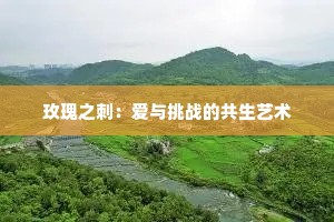 玫瑰之刺：爱与挑战的共生艺术