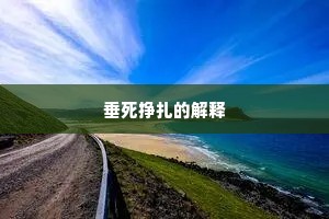 垂死挣扎的解释