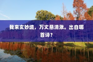 系缆繁昌口，清江夜渺然。出自哪首诗？