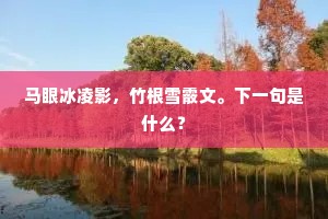 狐裘蒙茸的解释