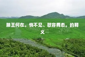 土花石黛自成锦，松枝海水相为涛。上一句是什么？