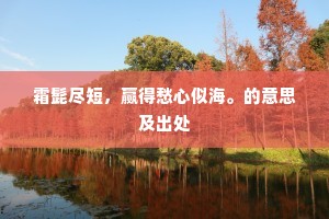 胡说白道的释义