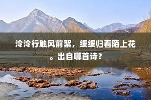 摒弃浮华，拥抱真我，远离无意义社交的觉醒之旅
