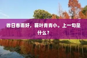 万里长江吸一杯，等闲袖剑九华来。下一句是什么？