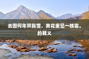 薪胆卧尝当此日，河山几处战秋风。上一句是什么？