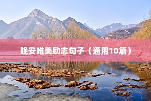 努力励志语录正能量（通用8篇）