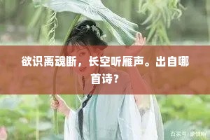 果堪止泪无，欲从望乡目。上一句是什么？