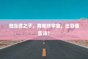 我爇瓣香来下拜，何如君昔吊三闾。的意思及出处