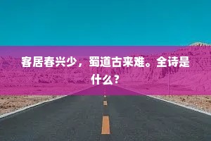 力疾起语客，丧乱今十年。的意思及出处