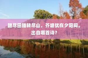 苍旻果无意，长作饭牛人。的意思及出处