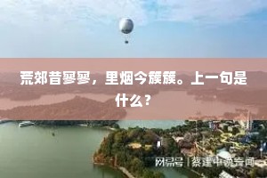 只恨许由曾洗耳，却怜无处濯吾缨。的意思及出处