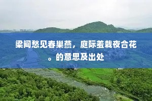 今宵无好句，懊恼满诗囊。的解释