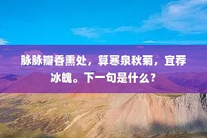 夜深更拥寒衾坐，明月梅花共一窗。下一句是什么？