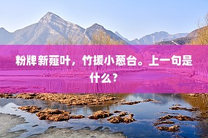 {左擅去扌右毛}裘不复恃军马，颍上一战中兴基。的释义