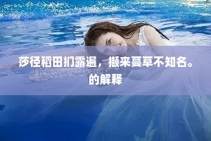 呼鹰台边闲鼓角，望沙楼上陈书诗。出自哪首诗？