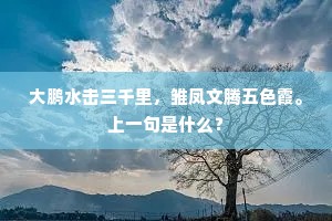 纷纷霜叶乱飘?。时令过重阳。的意思及出处
