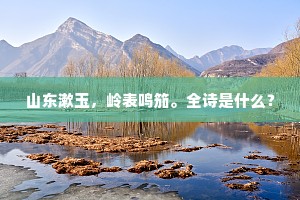 再召异宣室，憔悴同浮湘。的解释