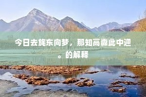 从不骏足轻千里，岂但词源荡四溟。的意思及出处