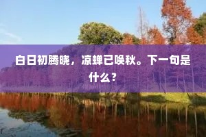 红灯九街,买移花市,画楼十里,特地梅妆。的解释 红灯九街,买移花市,画楼十里,特地梅妆。的解释