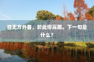 灾难之镜，照见真我，淬炼灵魂