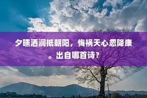 逆境之光，卓越之魂的坚韧赞歌
