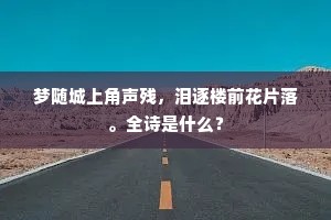 画布之叹，人生之镜，命运笔触下的灵魂独白