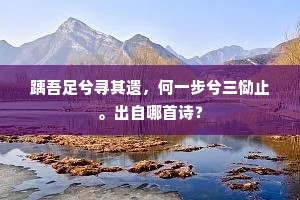 兴到偶吟同梵呗，狂来起舞快回旋。的解释