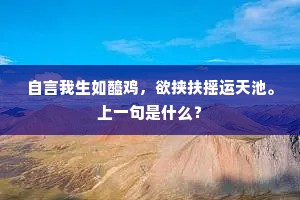 花辰月夕的成语解释