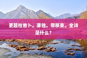 花里胡哨的解释